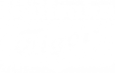 Onitsuka tiger