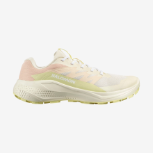 Кроссовки Salomon ALPHAGLIDE W жен. бежевый 4,5