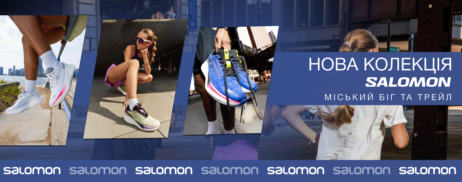 New salamon